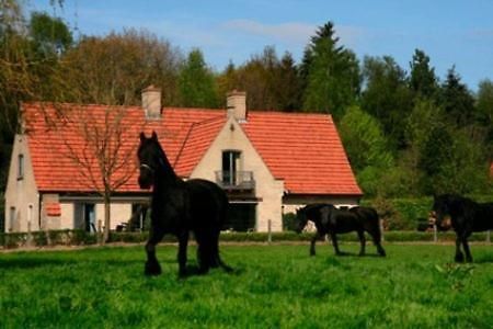 B&B Heerlijkhyd Hertsberge Экстерьер фото
