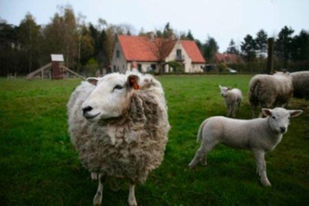 B&B Heerlijkhyd Hertsberge Экстерьер фото
